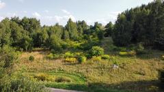 Działka  2379m², Sadowie