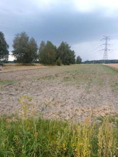 Działka  2984m², Warężyn