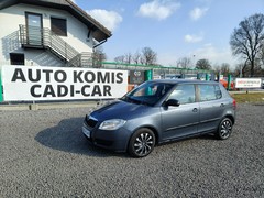 Hatchback Škoda Fabia II (2007-2014)  (benzyna gaz),  162000km, 2010 rok