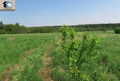 Działka  2760m², Laski 