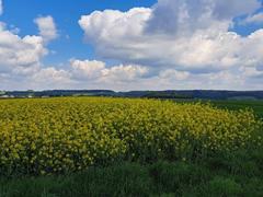 Działka  1000m², Przybysławice