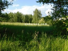 Działka  3244m², Wólka Kosowska 