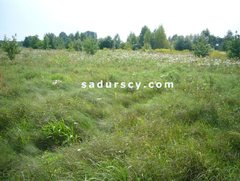 Działka  7000m², Władysławów 