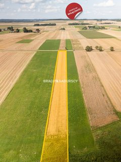Działka  4000m², Sędziszów Mstyczów