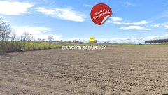 Działka  30500m², Prandocin-Iły 