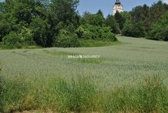 Działka  4719m², Brzezie 