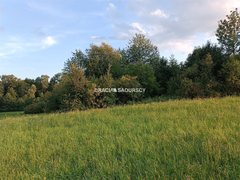 Działka  12000m², Łazany 