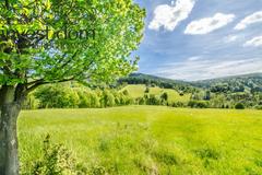 Działka  1040m², Małastów