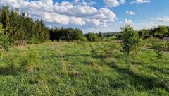 Działka  771m², Sadowie