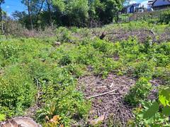 Działka  2800m², Słomniki