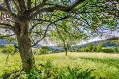 Działka  3030m², Bartne