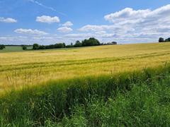 Działka  800m², Sułoszowa