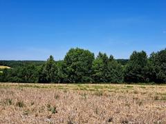 Działka  1300m², Iwanowice Włościańskie