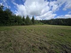 Działka  3466m², Dąbrowa Górnicza Łosień