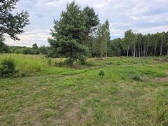 Działka  3236m², Przeczyce