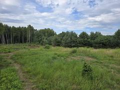 Działka  1206m², Przeczyce
