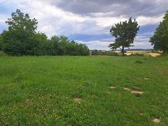 Działka  960m², Poręba Laskowska