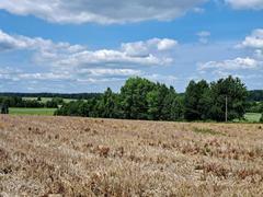 Działka  1300m², Celiny