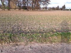 Działka  1100m², Krasieniec Stary