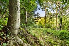 Działka  6000m², Kunkowa