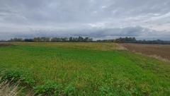 Działka  9266m², Góra Siewierska