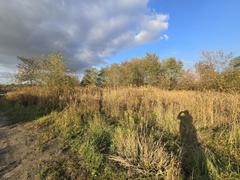 Działka  1452m², Dąbrowa Górnicza Strzemieszyce Wielkie