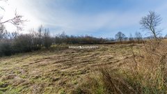 Dom  5996m², Narama 