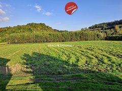 Działka  4800m², Polekarcice 