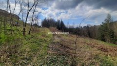 Działka  2300m², Borzęta 