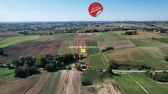 Działka  7730m², Kazimierza Wielka Gunów-Wilków