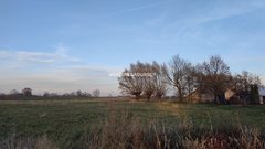 Działka  1900m², Majkowice 