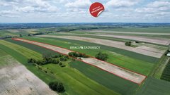 Działka  30500m², Prandocin-Iły 
