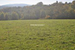 Działka  1677m², Dziekanowice 