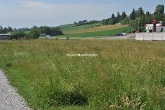 Działka  7970m², Brzezie 