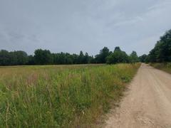 Działka  1502m², Ożarowice