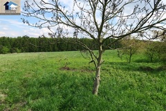 Działka  1002m², Bogucin Mały 