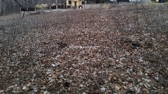 Działka  1067m², Żerkowice Żerkowice, Przy granicy Michałowic