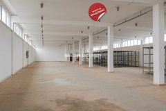 Lokal 865m², Proszowice 