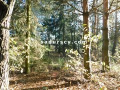 Działka  4100m², Biały Ług 