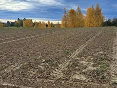 Działka  3900m², Szczodrkowice