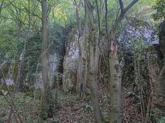 Działka  5550m², Łazy