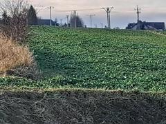 Działka  428m², Skała