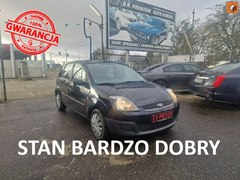 Hatchback Ford Fiesta Mk6 (2002-2008)  (benzyna),  142969km, 2006 rok