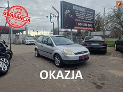 Hatchback Ford Fiesta Mk6 (2002-2008)  (benzyna),  177378km, 2004 rok