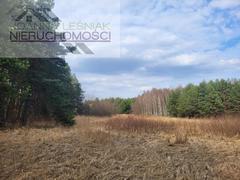 Działka  9518m², Chechło