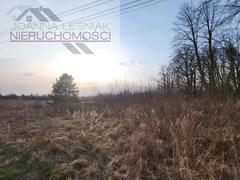 Działka  1936m², Krzykawka