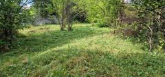 Działka  987m², Rokitno Szlacheckie