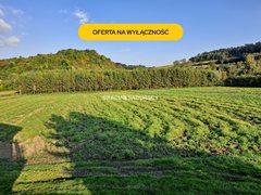 Działka  4800m², Polekarcice 