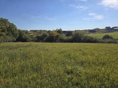 Działka  743m², Myszkowice