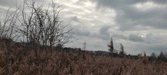 Działka  1140m², Przedbórz 